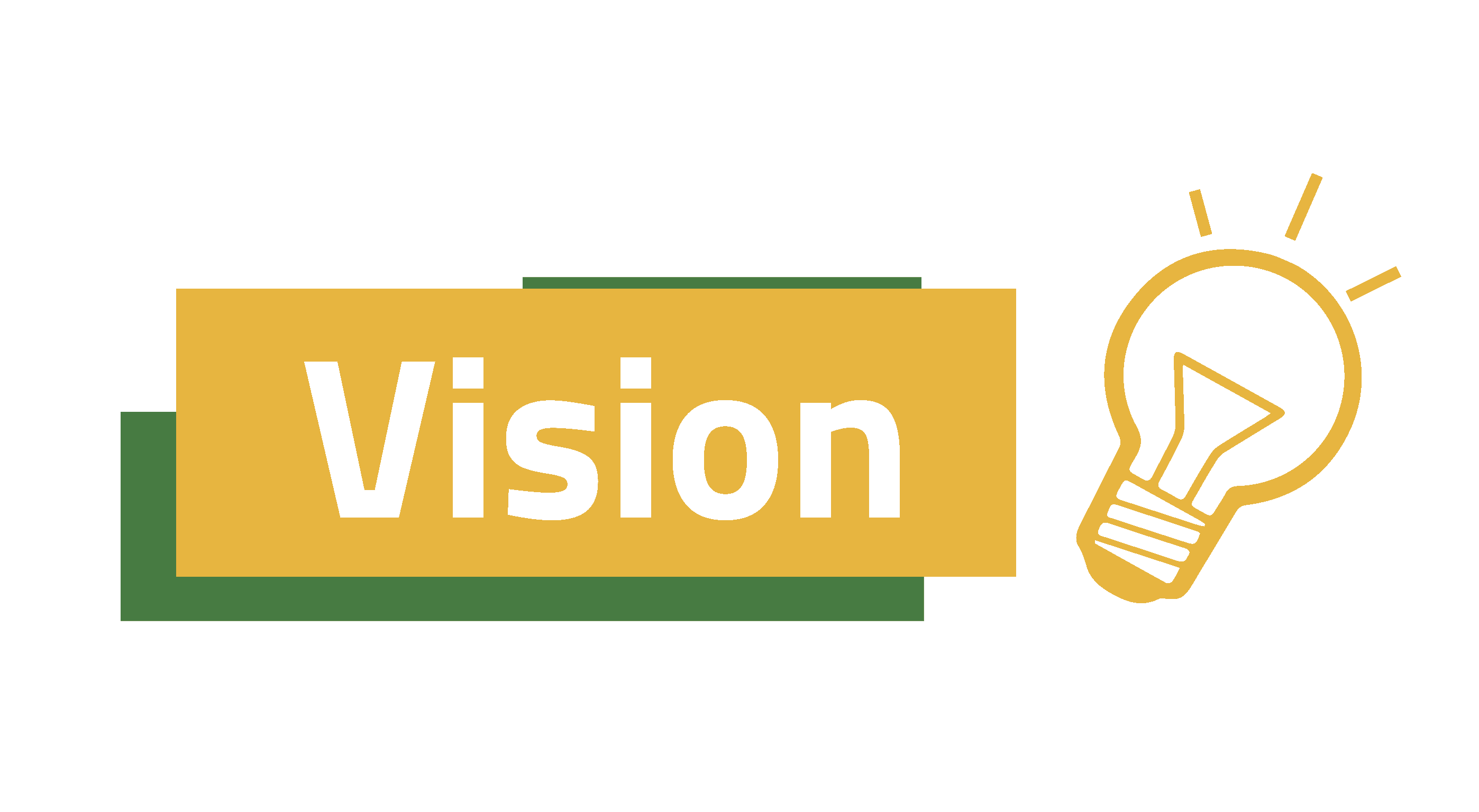 Vision-1