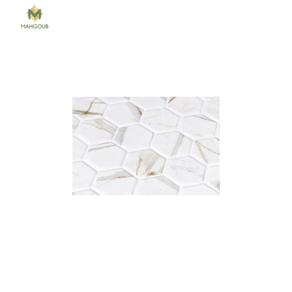 mahgoub-imported-mosaic-onix-hex-calactta-1