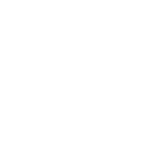 mahgoub-bano-disno-category