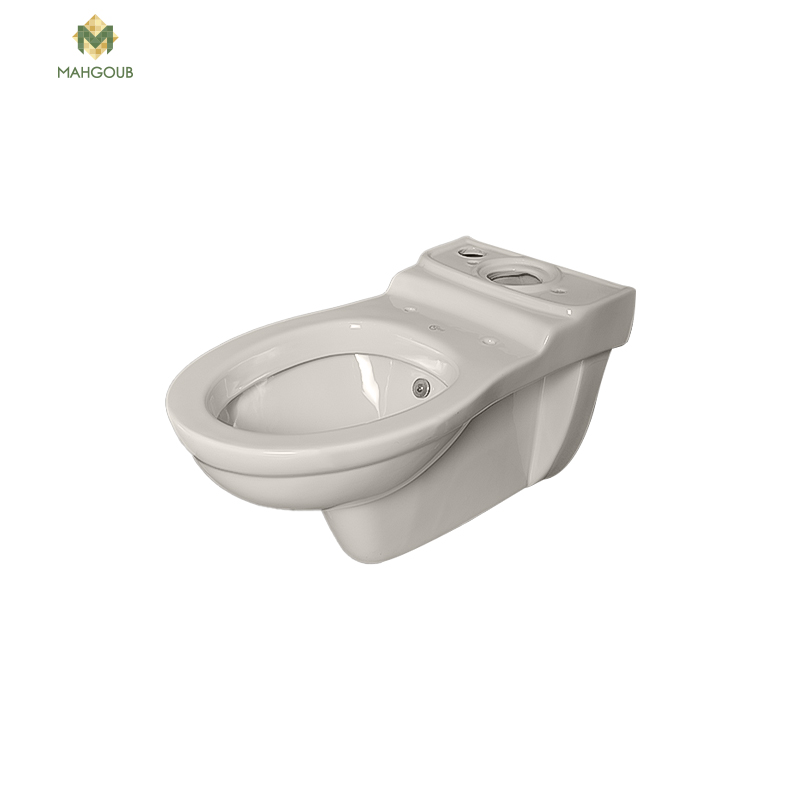 Wall mounted toilet ideal standard san remo with sprayer pergamon 0485 image number 0