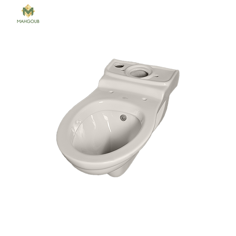 Wall mounted toilet ideal standard san remo with sprayer pergamon 0485 image number 1