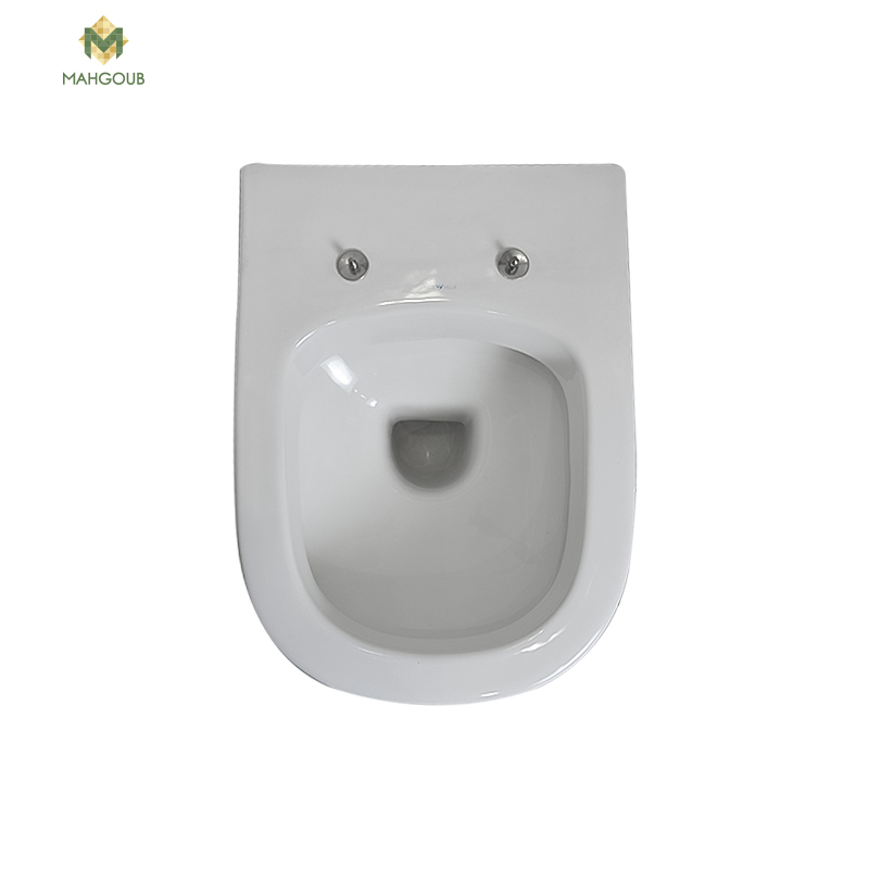 Wall mounted toilet with sprayer white ville onda with sprayer white image number 1