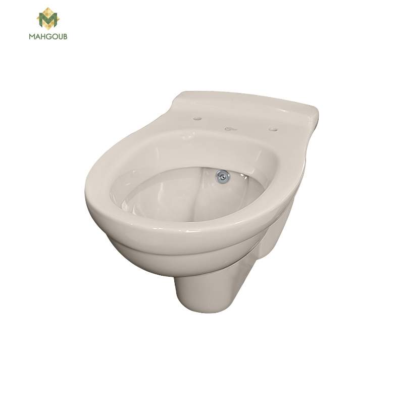 Wall mounted toilet ideal standard san remo with sprayer pergamon 0489 image number 0