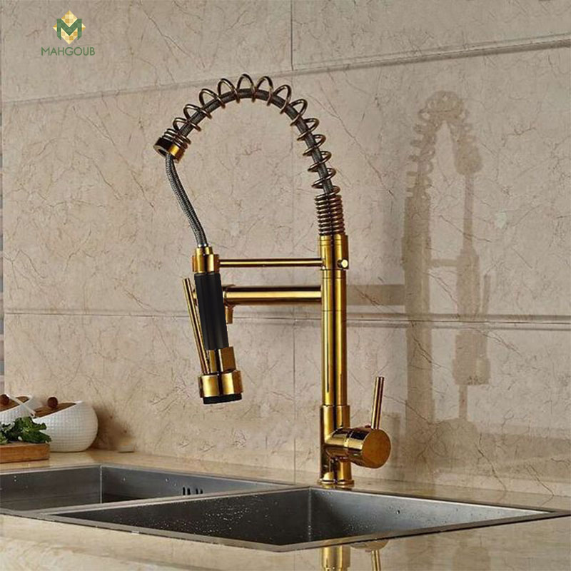 Kitchen Mixer High Including Shower And Spring Spout With Extra Water Outlet Hand Mixer Gold Pm-11006 image number 1