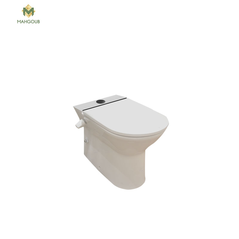 Sticking To Wall Toilet Roca Ares With Drainage  P With Sprayer without toilet seat cover White Yb100137034000 image number 0