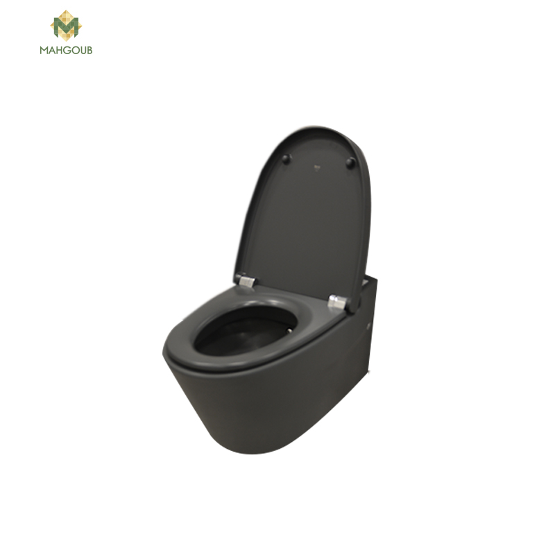 Wall Mounted Toilet Roca Kromah Gravet With Sprayer without toilet seat cover Grey 34665e920 image number 0
