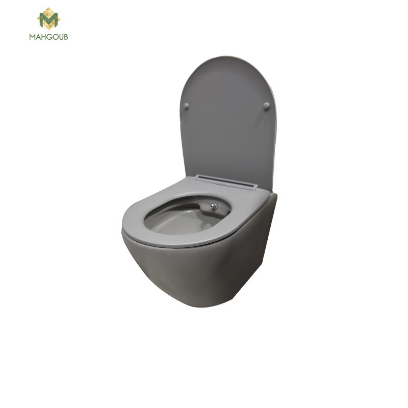 Wall Mounted Toilet Circular With Seat cover Grey Matt 00114-GR
