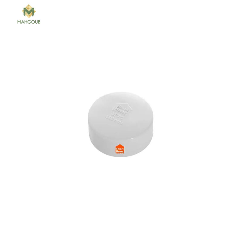 Drainage End Cap Smart Home 1 Inch White 353095020