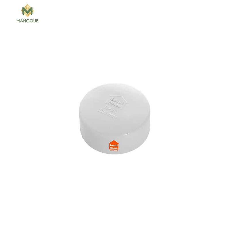 Drainage End Cap Smart Home 2 Inch White 353095025 image number 0